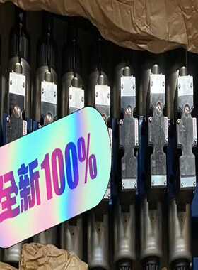 Rexroth力士乐，R900976384DBW20B7-适用