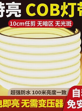 led灯带220v户外防水超亮自粘线形灯家用客厅吊顶氛围灯COB软灯条