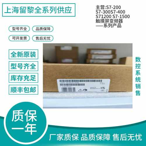 ET200SP接口模块6ES71x55-6AU01/6AA01/6AU00-0CN0/0BN0/0D