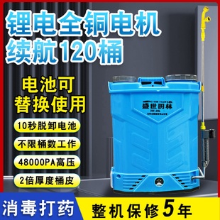 打药机 厂家批发新款 抽拉式 电动喷雾器农用脱卸款 电动喷雾机背负式