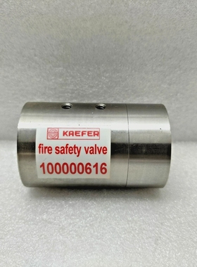 KAEFER100000616消防安全阀FSV-1203/2路R1/4