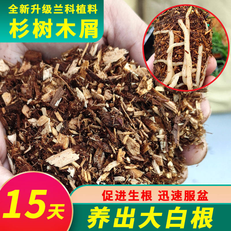 兰花专用土壤纯杉树木屑 石斛种植料新型兰花营养土 天然新兰