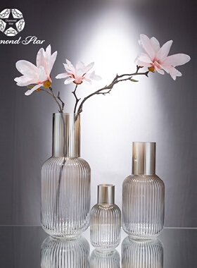 Diamond Star Glass Vase Inswind Gradient Transparent Luxury