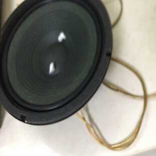 JBL 八寸低音喇叭一对换好边 其他原装。声音正常。260元--议价