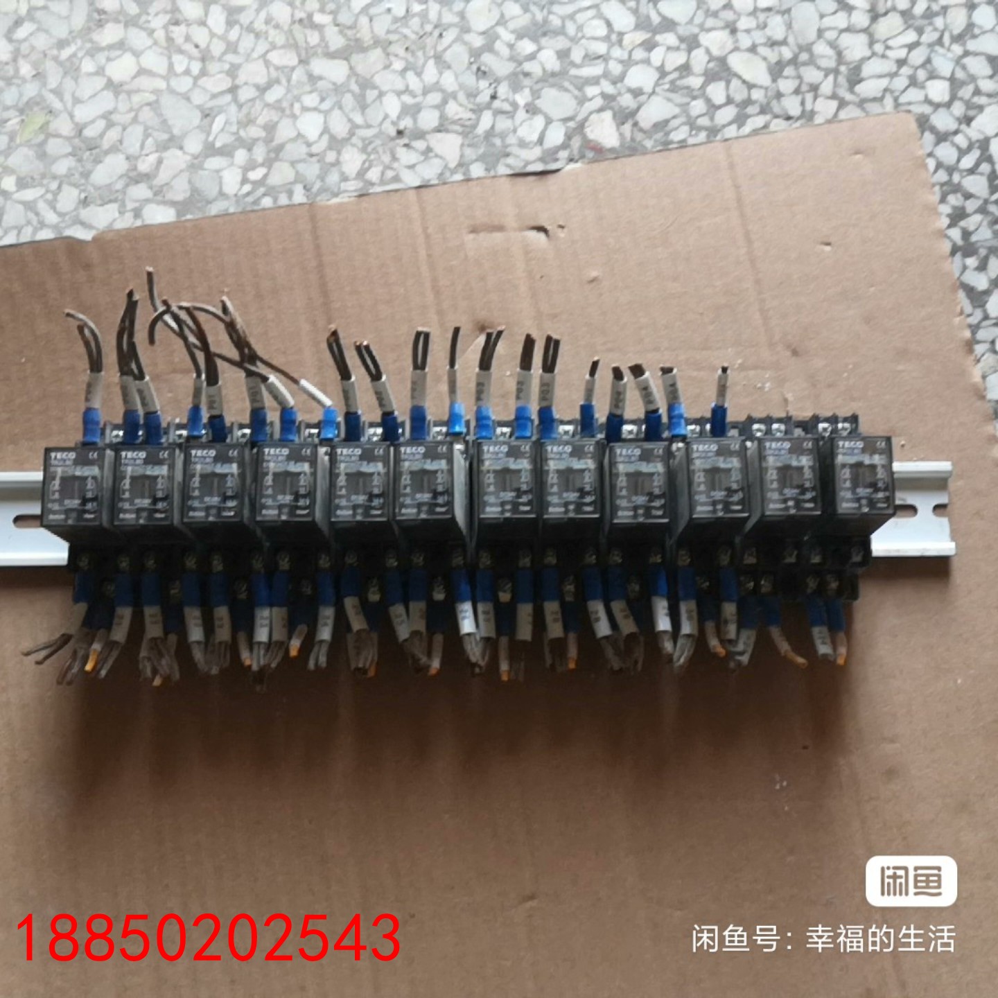 【请询价】原装正品台安TEC0东元中间继电器TR2LB0  5A24