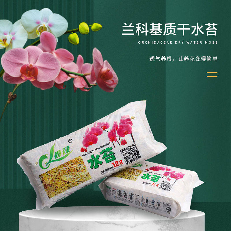 水苔蝴蝶兰专用土换盆优质干水苔智利进口营养土苔藓水笞兰花
