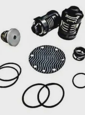 ApolloValves4A00810RepairKit2