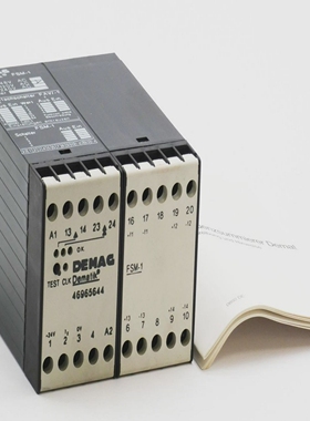 DemagDematikFSM-1FSM146965644110/120VACFrequenzsummier