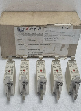 SIBANH00gL/gG80A-500V120KA0636/21(5pcsLot)