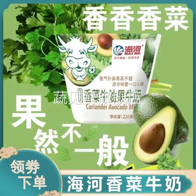 海河香菜牛奶牛油果香菜味牛奶樱花白桃风味奶学生早餐奶牛奶饮品