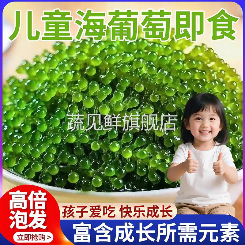 儿童海葡萄即食绿色小颗粒零食高倍泡发富含营养美味健康解馋零食