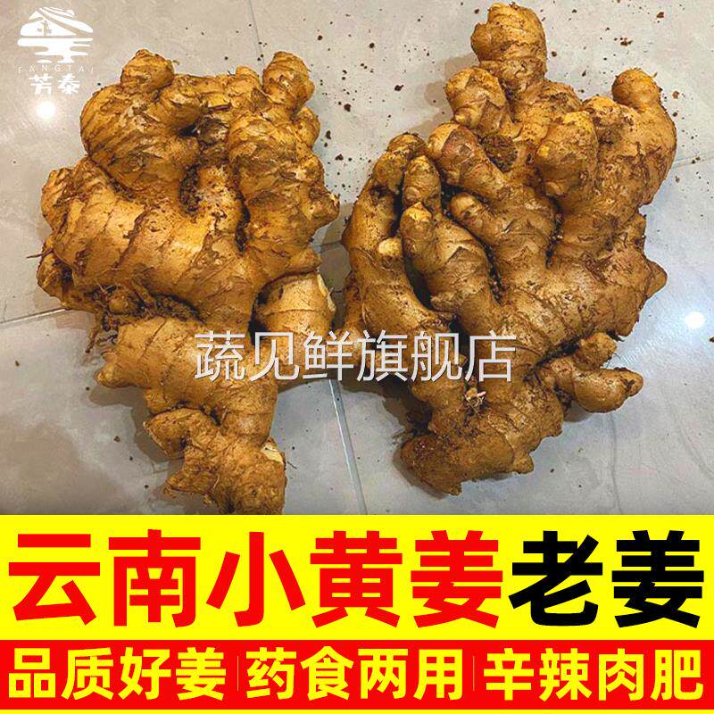 正宗云南罗平小黄姜新鲜生姜老姜农家自种新姜鲜姜月子姜