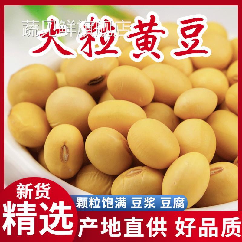 农家自种笨椭圆黄豆500g土大豆长粒肾型酱豆豆浆原料老品种可发芽