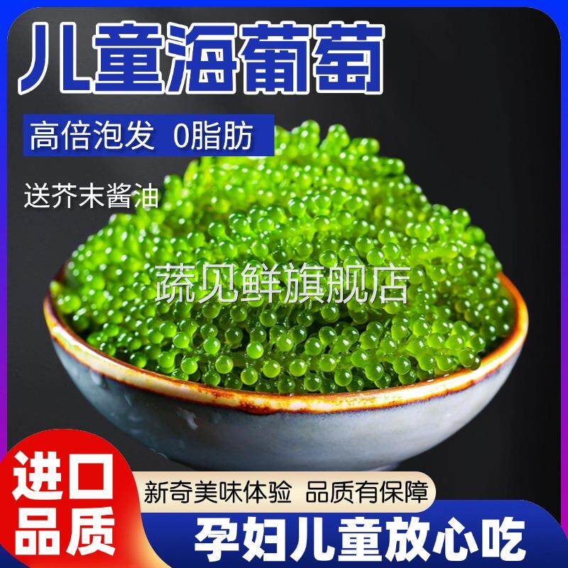 海葡萄新鲜即食盐渍海洋蔬菜植物鱼子酱海藻带菜水葡萄海草100g