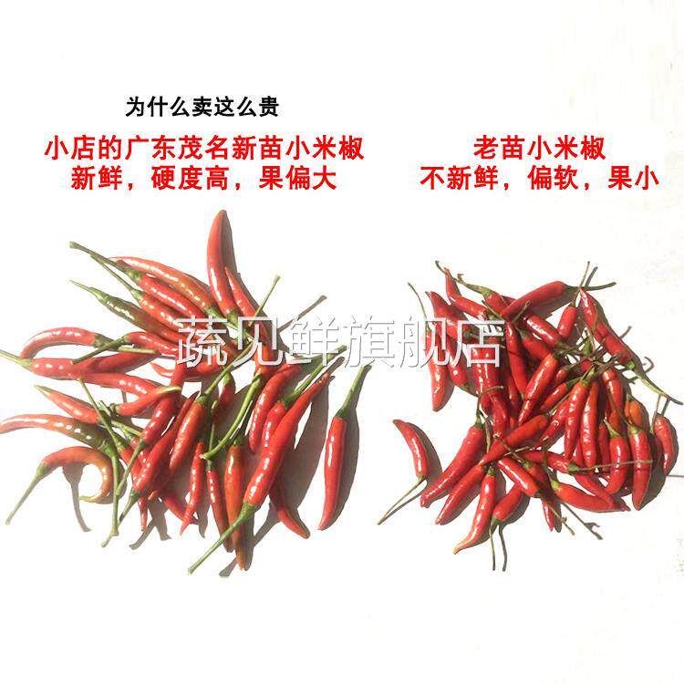 小米辣椒新鲜5斤 农家现发特辣朝天椒广东指天椒薄皮红辣椒新鲜10