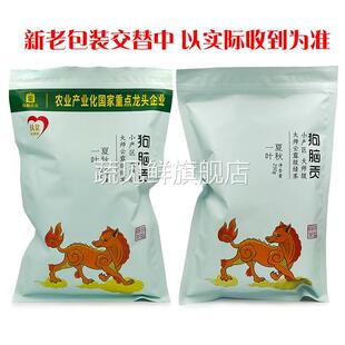 湖南郴州特产狗脑贡绿茶袋装茶叶新茶资兴狗脑贡茶夏秋一叶级