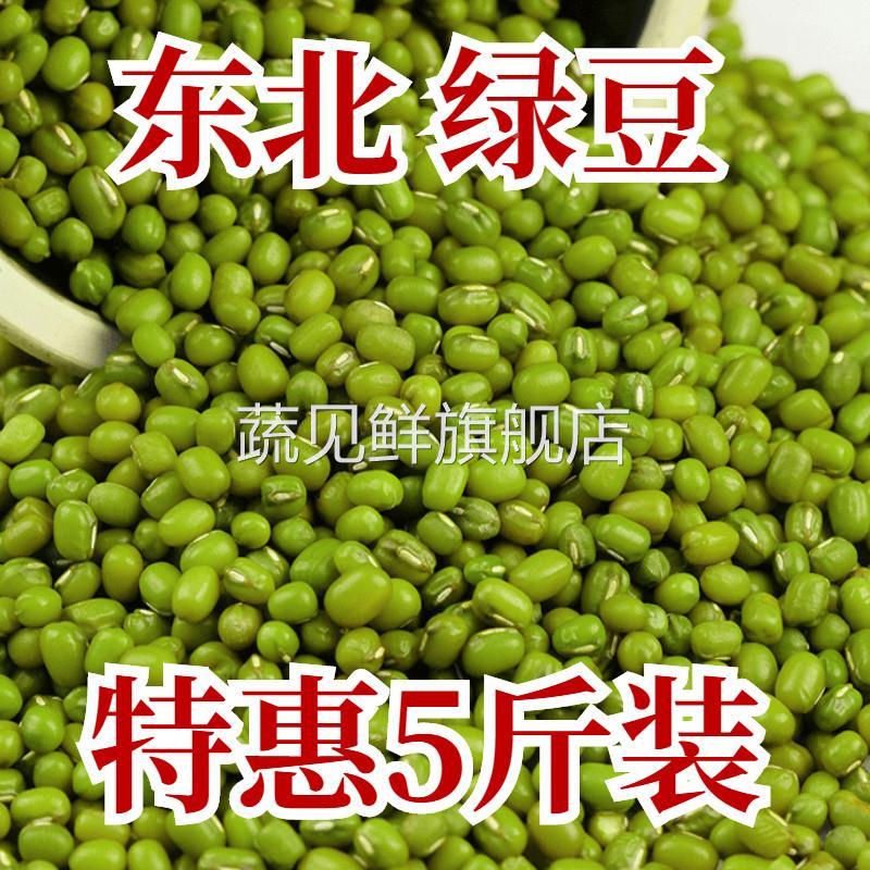 新鲜绿豆 5斤 发芽绿豆笨绿豆农家自产五谷杂粮煮粥