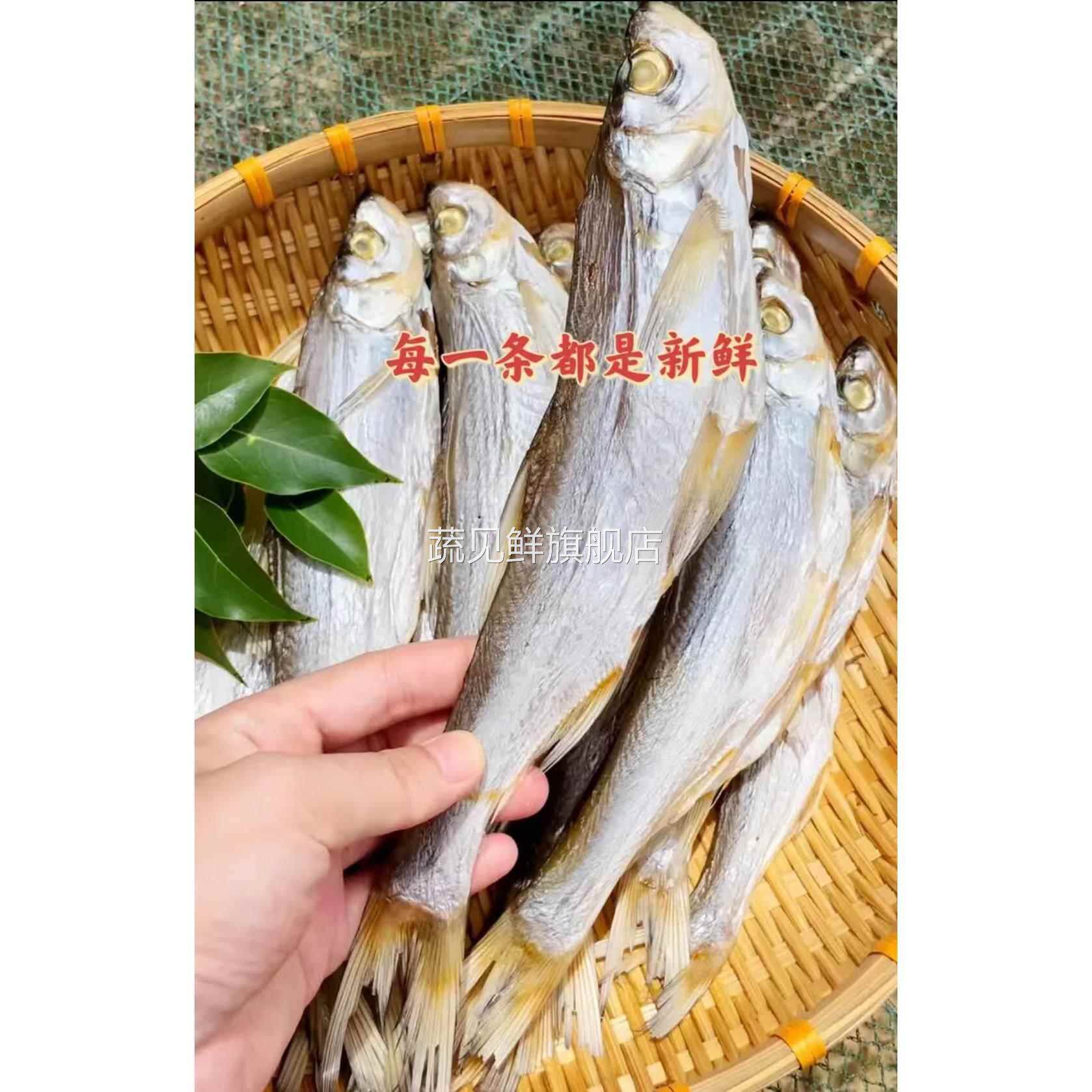 农家渔民自晒大翘嘴鱼干小白条鱼干大刁子餐条鱼干咸鱼干江西特产