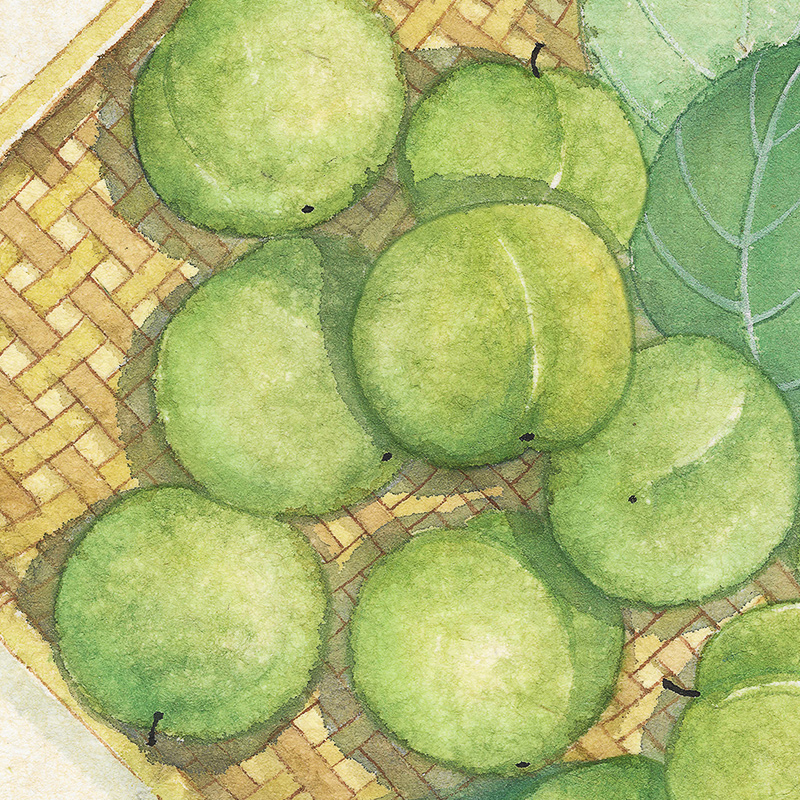 祝嘉x望山小书房新中式餐厅挂画日式原木风卧室客厅寓意好装饰画