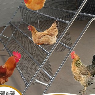 鸡栖息架鸡爬架鸡站架鸡爬梯养殖网架鸡睡觉架子鸡栖架禽类休息架