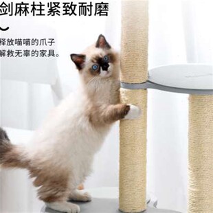 喵乎汪也猫爬架实木猫树猫跳台小型猫爬柱不占地立式猫架墙壁跳台