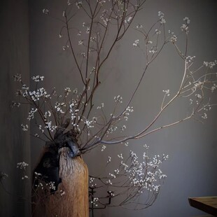 天然树枝树干装饰侘寂风干花高级感真花民宿插花摆件乌桕果小白果