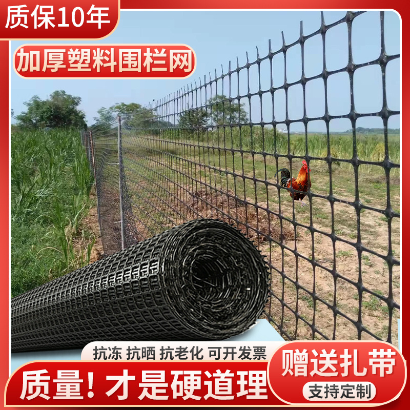 塑料网格围栏网养殖菜园栅栏户外拦鸡圈玉米养鸡漏粪脚垫网子家用