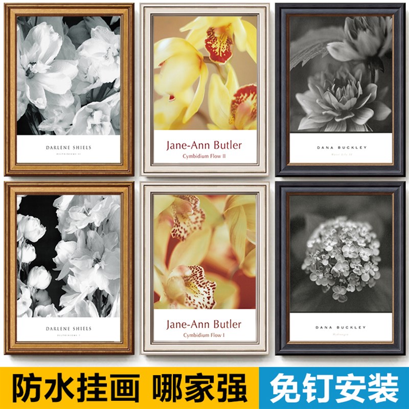 欧式黑白花卉油画餐厅玄关客厅沙发背景墙壁酒店卧室墙装饰挂画图片