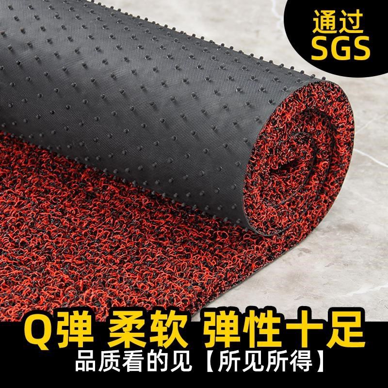 特厚柔软丝圈钉底地毯防滑防水家居进门口出入户吸尘室外地垫家用,居家布艺,入户地垫,淘宝优惠券,粉丝福利购,淘宝优惠卷