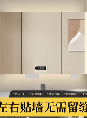 智能不锈钢浴室镜柜单独挂墙式带灯除雾感应带灯收纳定制抽纸镜箱