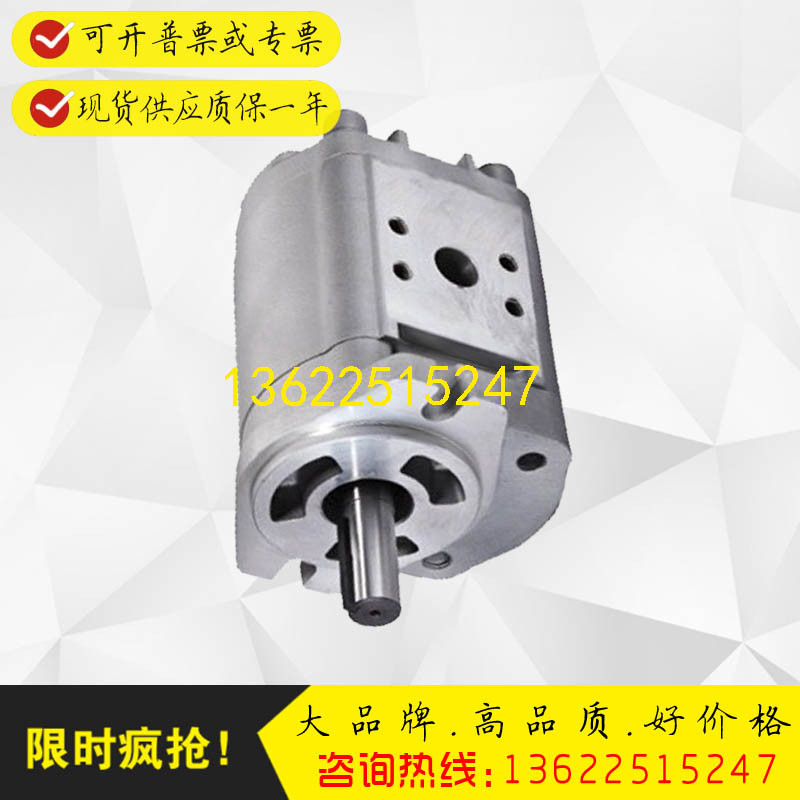 IGC-5F-40-R-20印刷机械IGC-5F-50-R-20高压齿轮泵IGC-5F-64-R-20