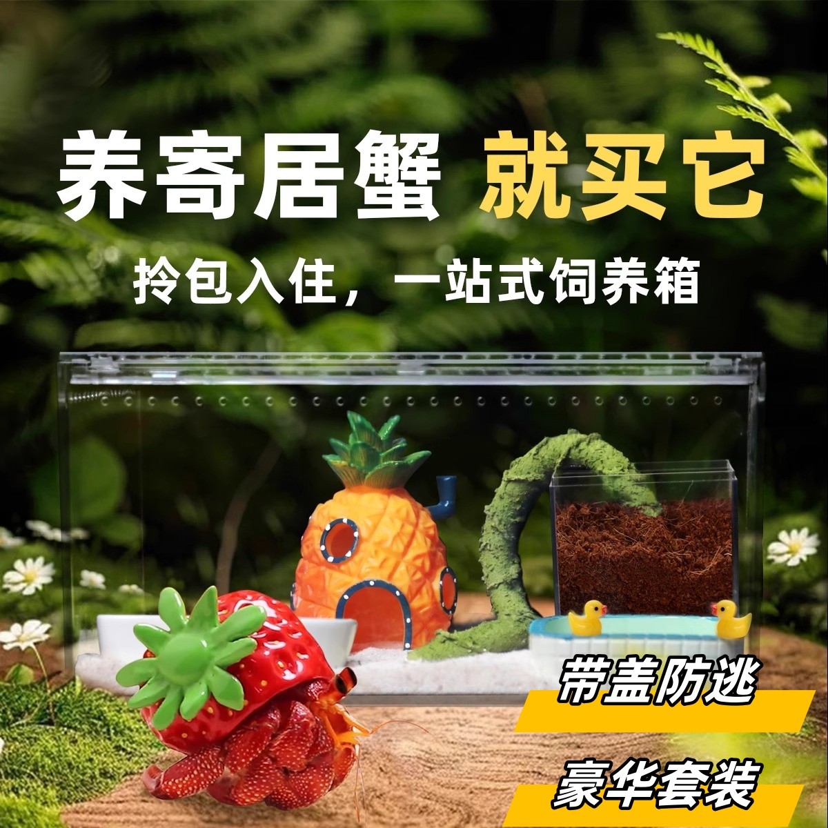 寄居蟹饲养缸爬宠饲养箱套装造景躲避屋专用缸生态盒子养宠物厂家
