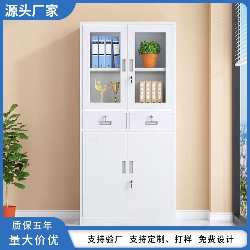 中二斗铁皮文件柜办公室资料档案柜抽屉带锁财务凭证柜多层书柜