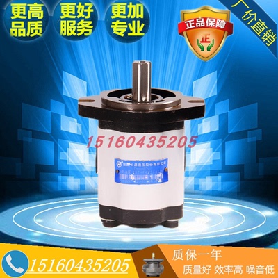 合肥长源齿轮泵CBT-F425-AFP/AFΦ/AFH/AFX/ALPL/ALHL/ALΦL/ALXL