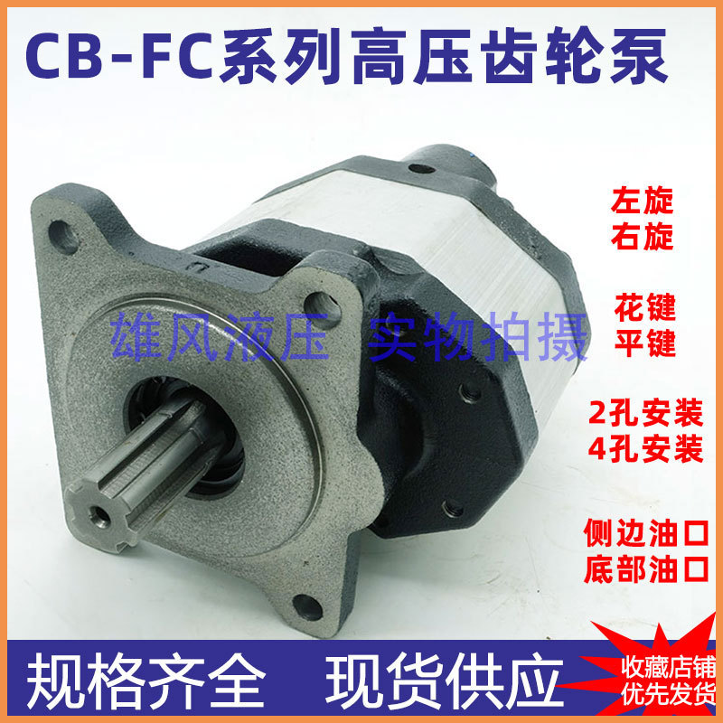 CBFC调直机油泵CB-FC10-16-20-32-40-50-63-80-FLR液压齿轮泵GJCB