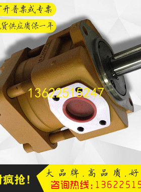 SUMITOMO住友注塑机油泵QT53-40-A压铸机中压齿轮油泵QT53-50-A