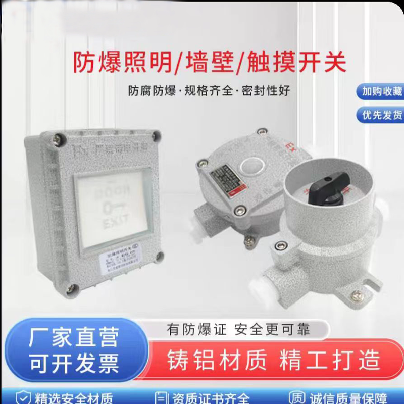 防爆照明开关SW-10控制开关单开双开墙壁开关雷达感应触摸开关10A