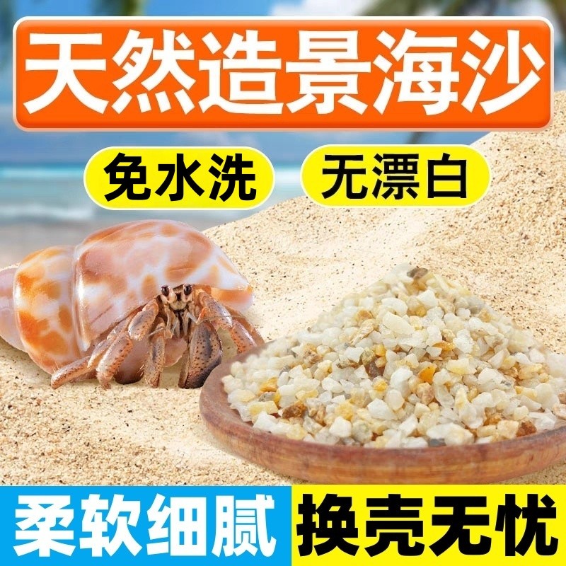 寄居蟹专用沙免洗陆生保湿生态缸沙小沙子饲养造景底砂海沙珊厂家