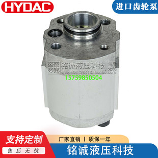 现货进口德国贺德克HYDAC高压齿轮泵10A2X302B 10A4.2X302B油泵
