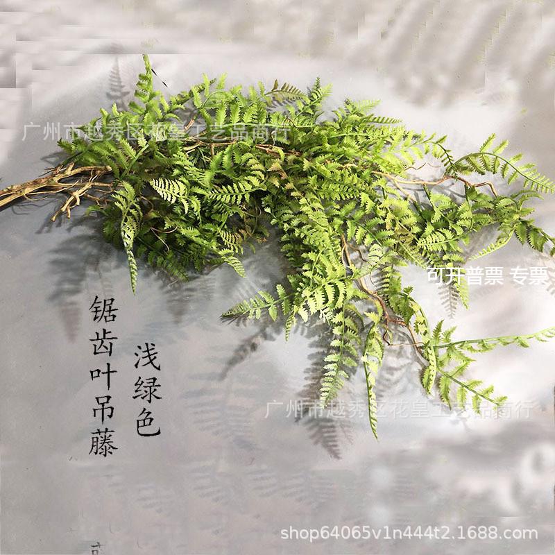仿真绿植肾蕨排草蕨类植物天门冬大把束垂挂蕨草波斯蕨装饰壁挂