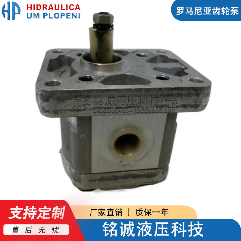 HESPER罗马尼亚HP05-0.2/0.26/0.32/0.4/0.5/0.63/0.8/1.0齿轮泵