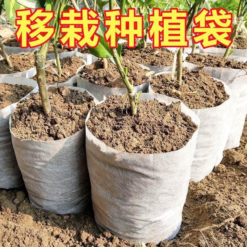 植物美植袋无纺布加厚耐用种植袋育苗袋阳台种菜花卉蔬菜花盆厂家