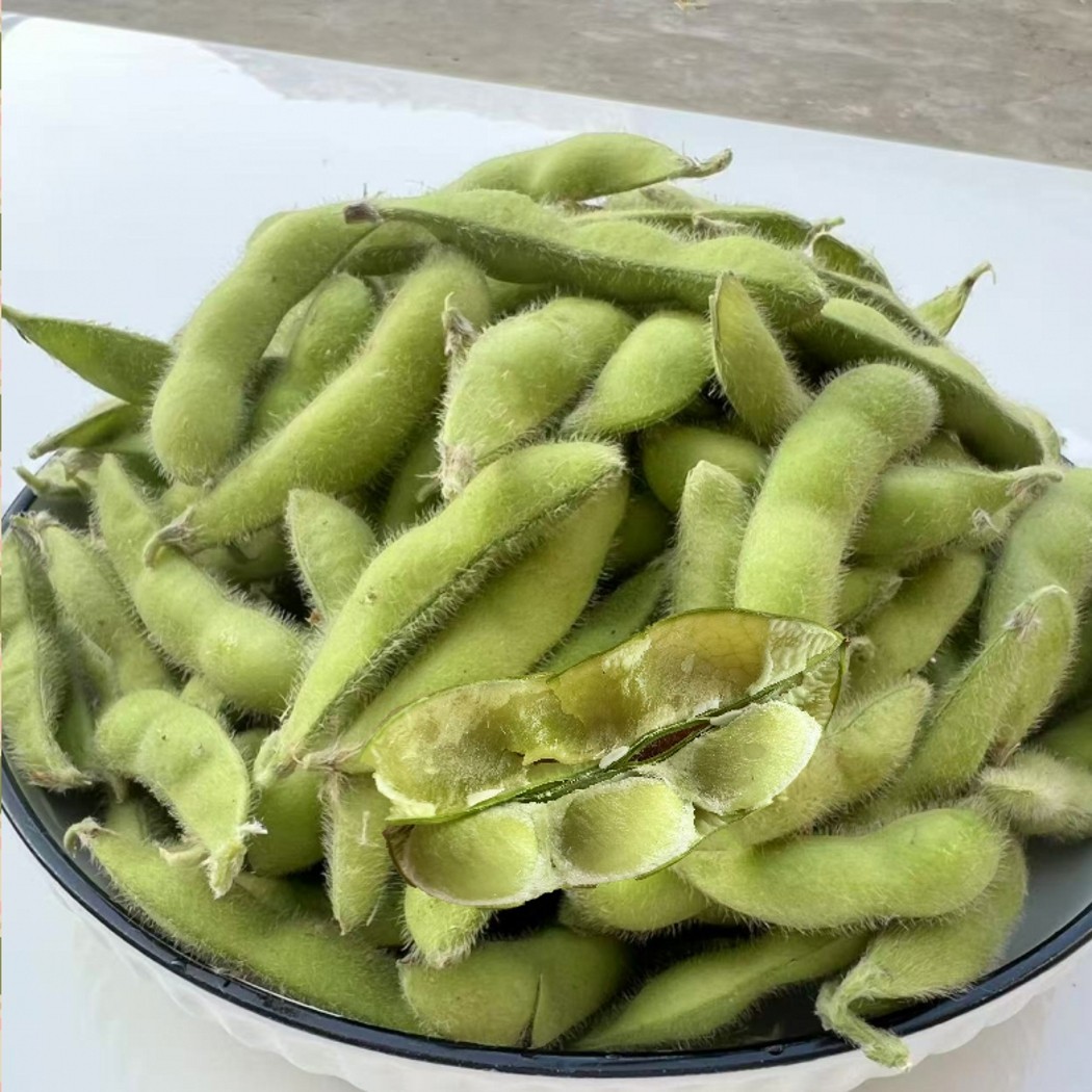 毛豆新鲜带壳青豆子疏菜嫩豆荚黄豆商用安徽农家自种时令新鲜蔬菜
