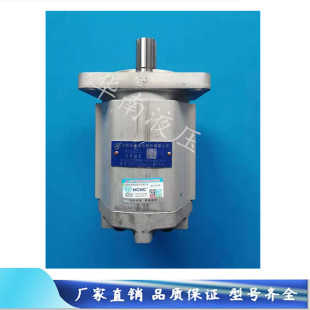 ALP 合肥齿轮泵 CBW CFP CLP AFP F310 F306 F304 正品 原装