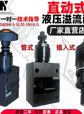 DBDH6 8 10 20 30液压DBDS6 10 20 30K直动P式G溢流阀10B315 200