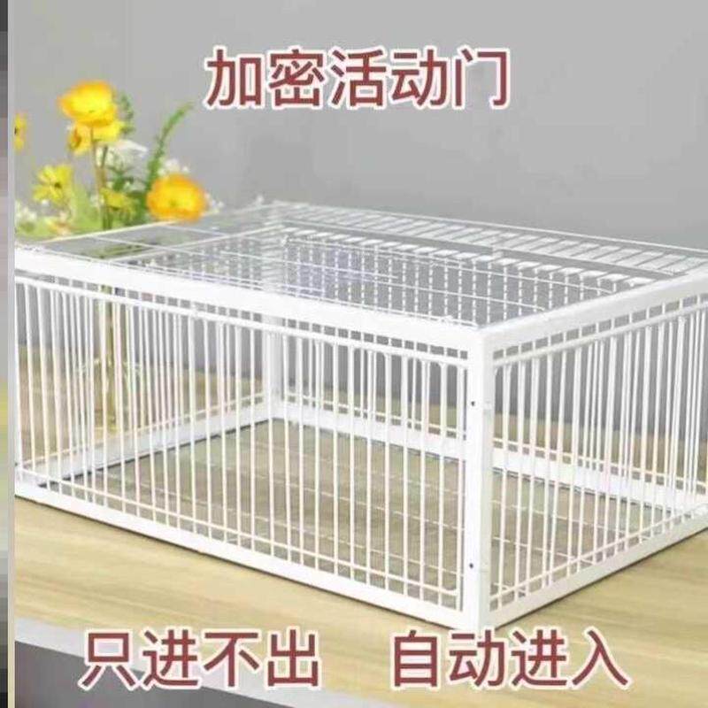 只进不出鸟笼器天落笼子撞门捕捉抓收鸽子神器捕笼全自动加密厂家