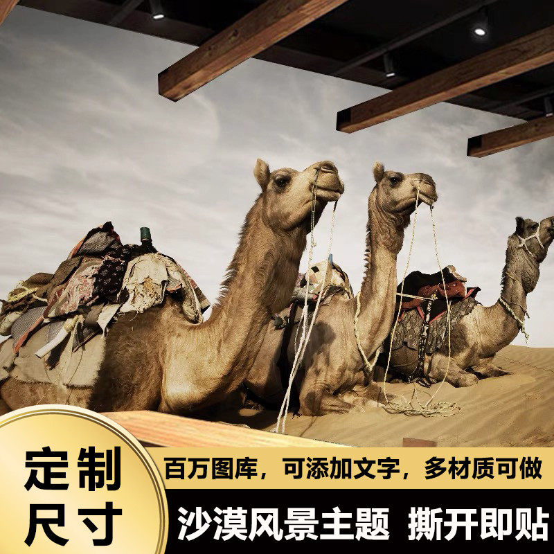沙漠风景画壁纸墙纸贴纸背景墙主题图片素材墙面装饰壁画贴画墙画