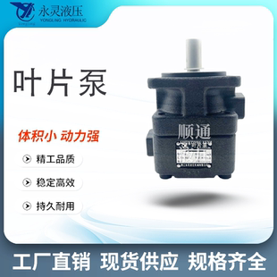 125叶片泵 6.3 12.5 100 仙居YCL永灵YB1