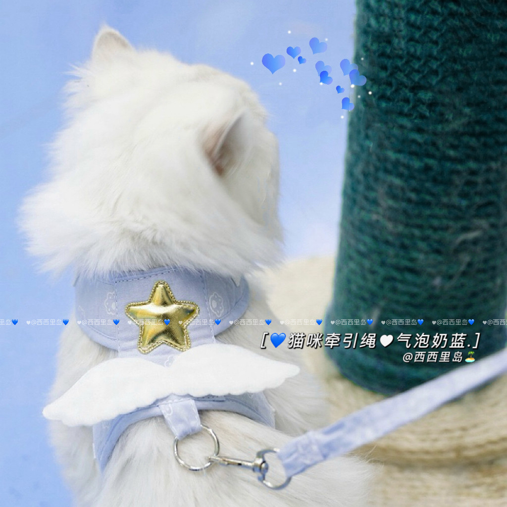 猫咪牵引绳防挣脱背心式外出遛猫绳子小猫绳子狗狗牵引幼猫牵引绳