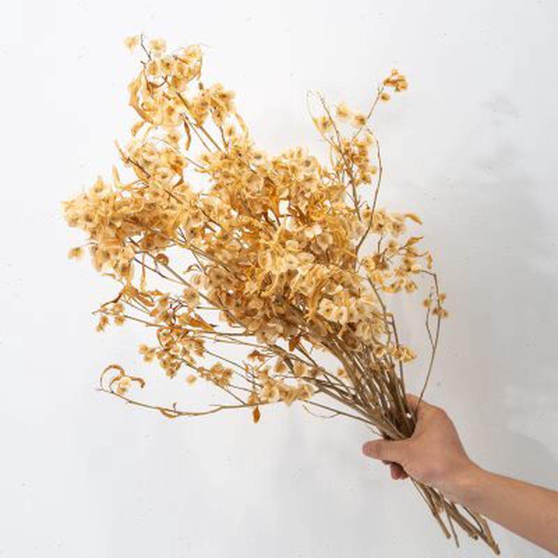 凸出花艺 杏色干花花束花瓶摆件客厅卧室装饰插花自然干花枝